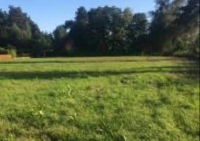 działka na sprzedaż - Kórnik (gw)